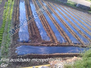 Plástico para agricultura Negro Galga 200